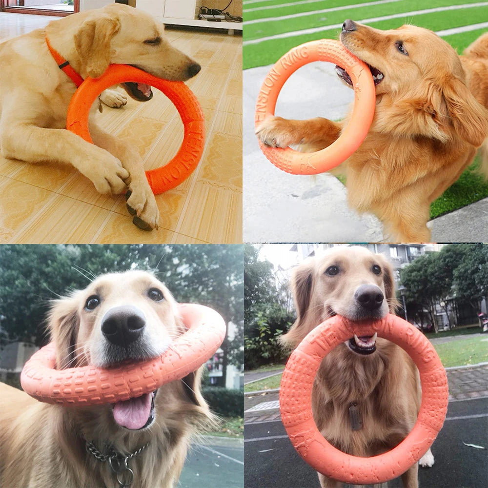 Anel de Brinquedo para Cães